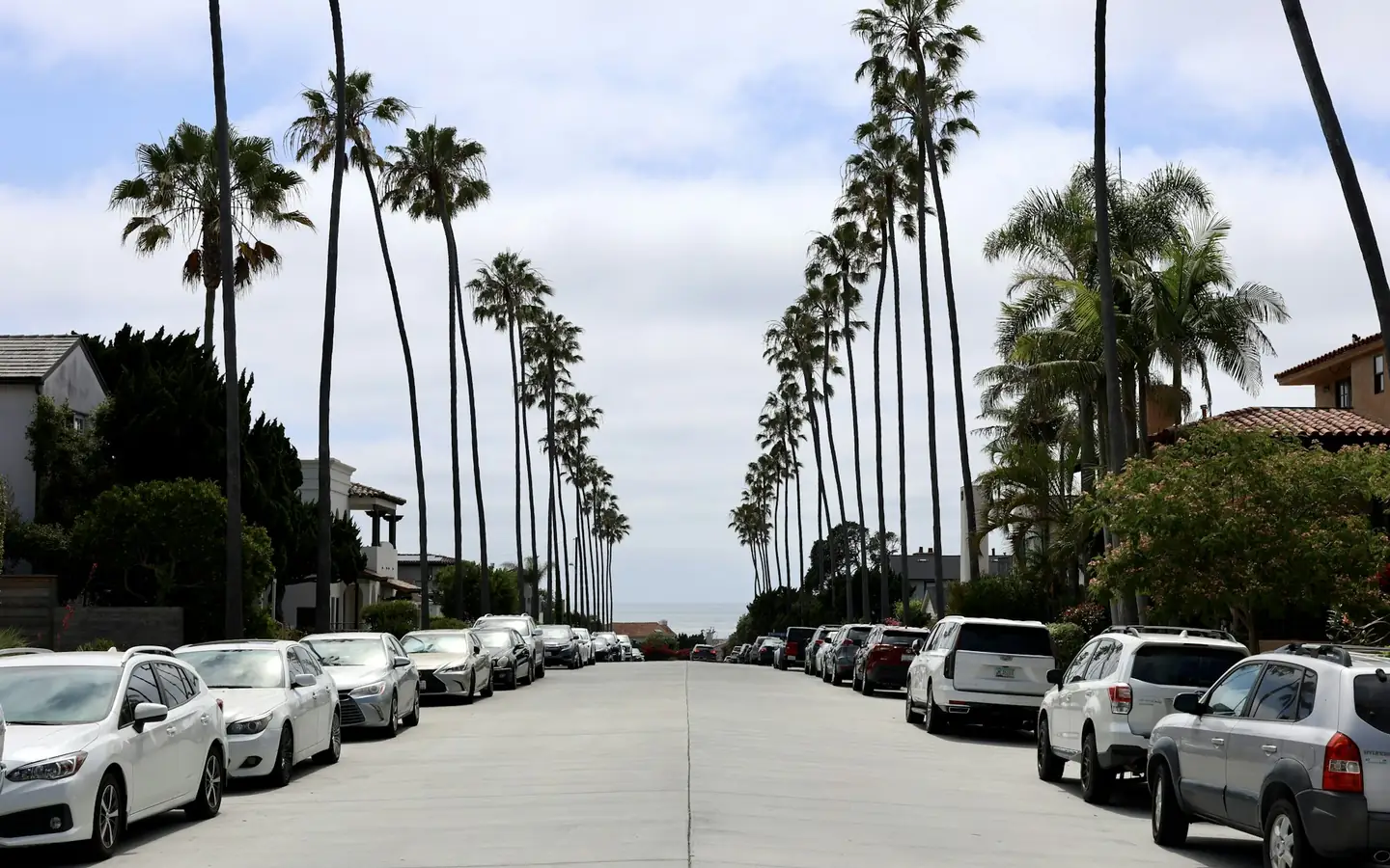 Una calle residencial con palmeras y autos estacionados