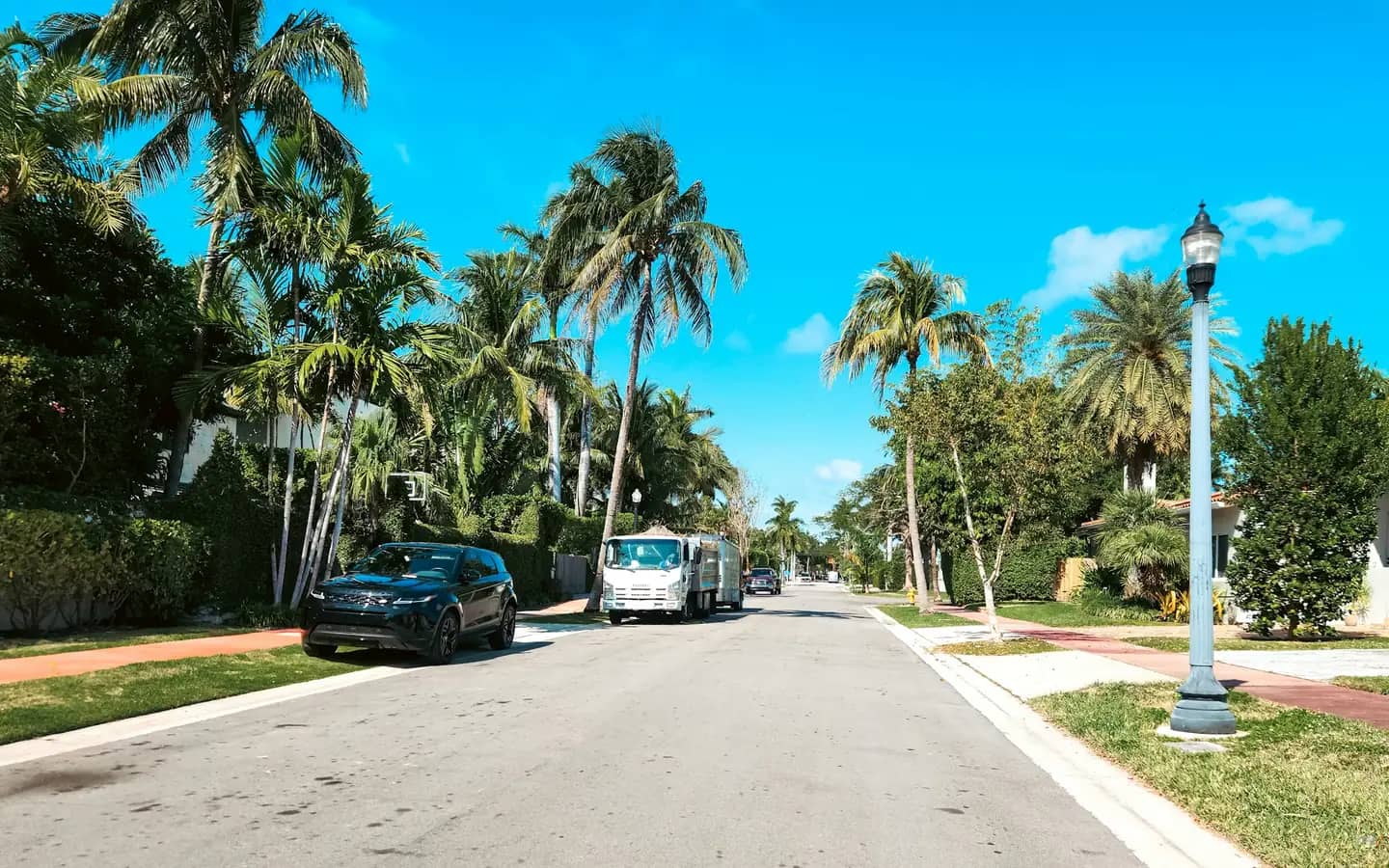 A quiet palm-lined street on a bright day