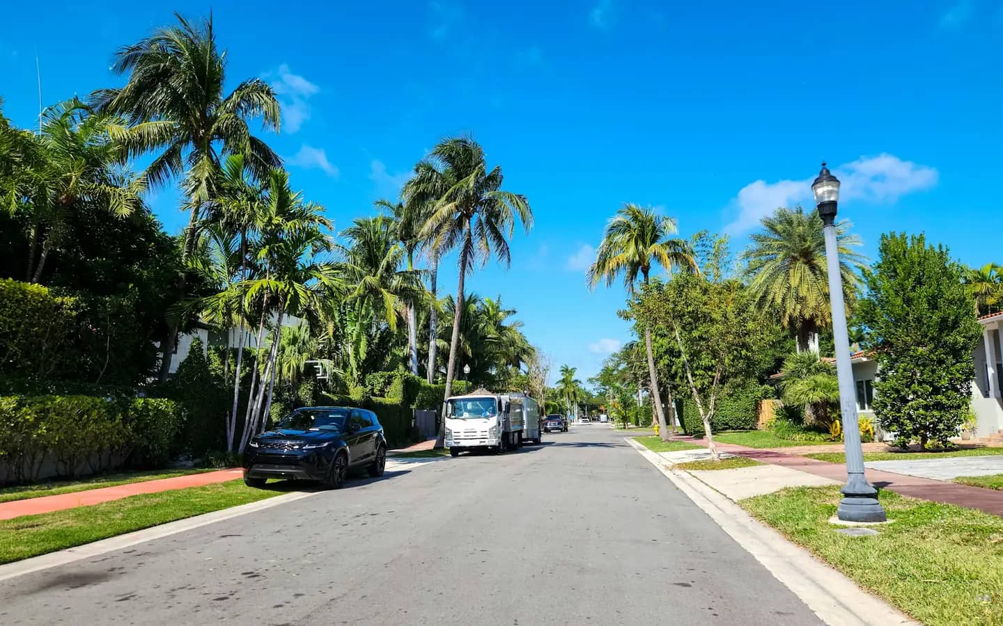 A palm-lined road with a car parked in the shade