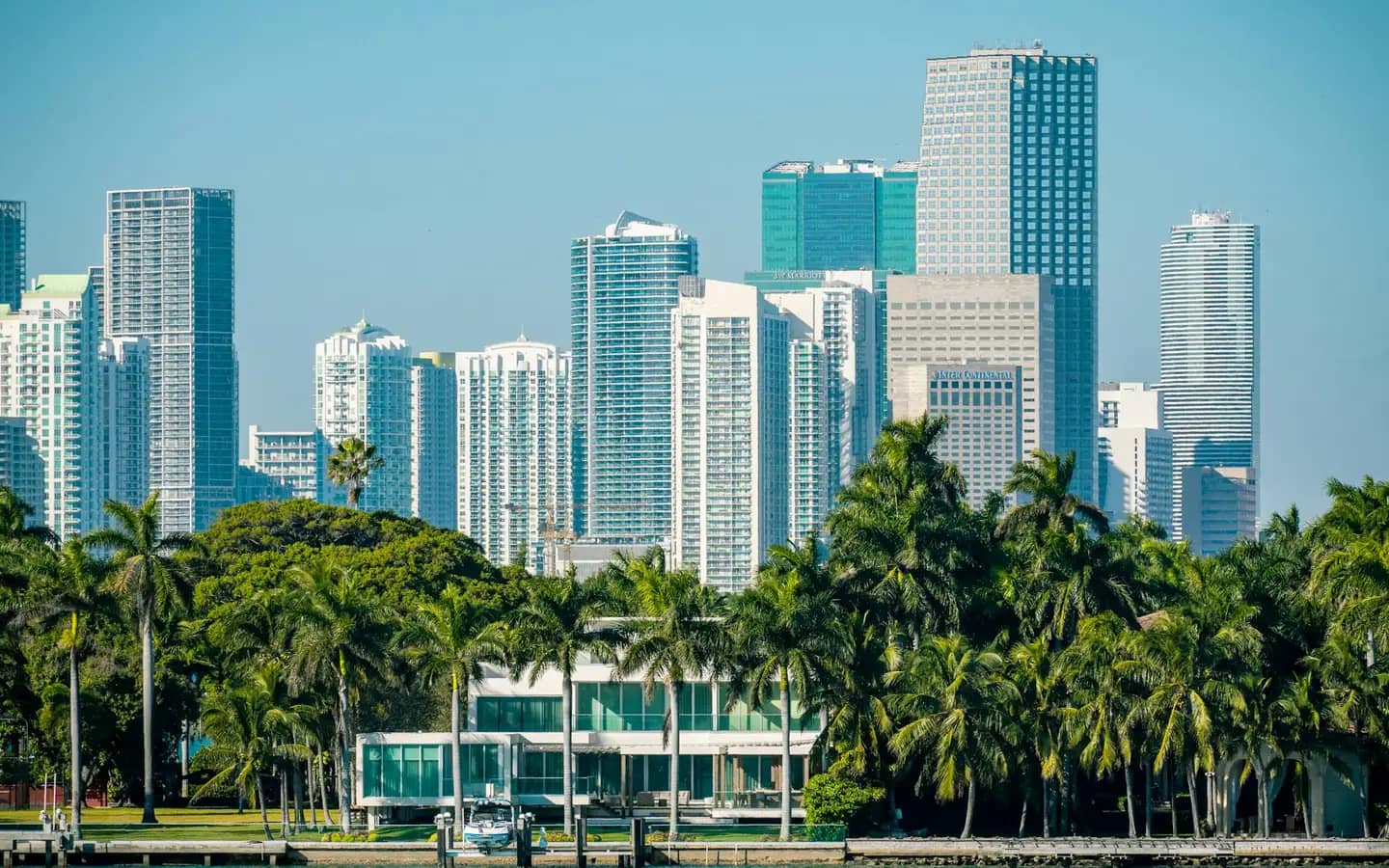 Condo towers rising above a line of palm trees by the water