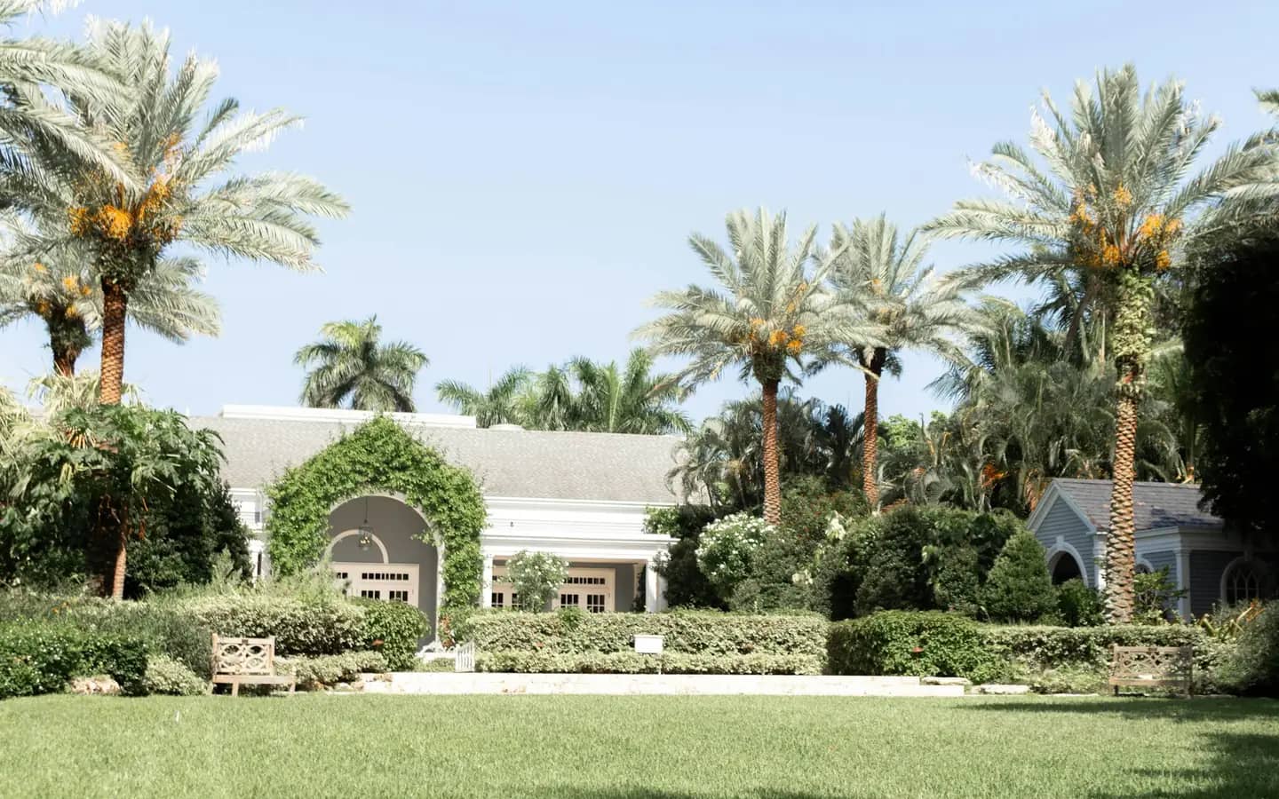 A single-story home behind a lawn and a row of palm trees
